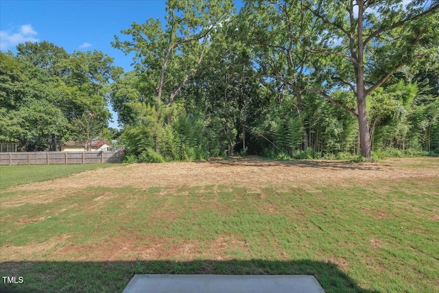114 Hays St, Oxford, NC 27565 - view of yard
