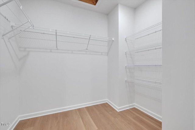 114 Hays St, Oxford, NC 27565 - walk in closet featuring wood finished floors