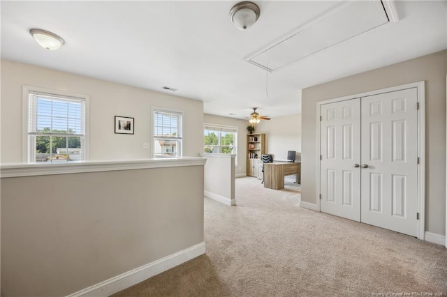 hall featuring attic access, baseboards, carpet floors, and an office area