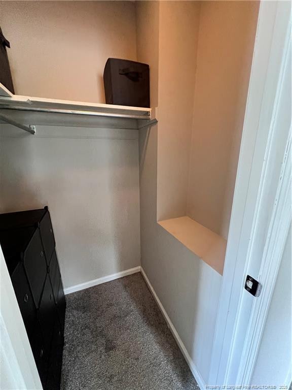 walk in closet featuring carpet