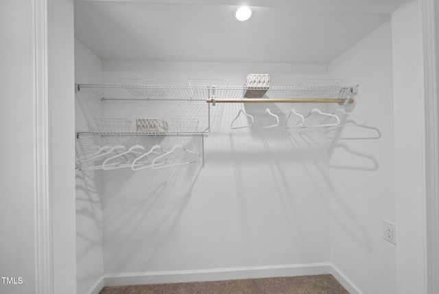 1201 Pond St, Cary, NC 27511 - spacious closet featuring carpet flooring