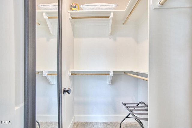 941 W Club Blvd, Durham, NC 27701 - view of walk in closet