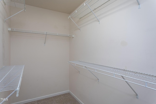 7244 Galon Glen Rd, Raleigh, NC 27613 - walk in closet with carpet flooring