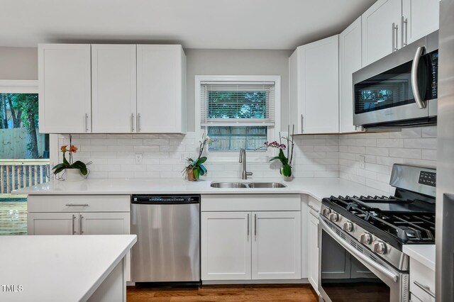 2200 Wyman Pl, Durham, NC 27707 - kitchen featuring stainless steel appliances, a sink, healthy amount of natural light, and light countertops