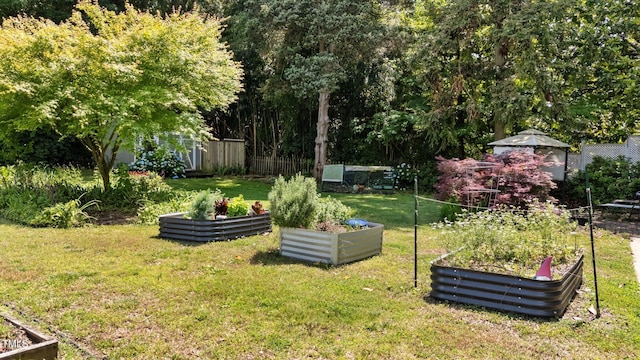 925 S Chestnut St, Henderson, NC 27536 - view of yard with a vegetable garden