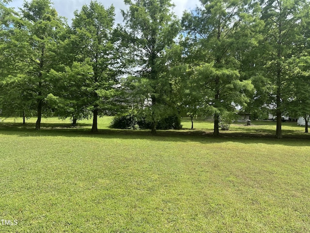 view of green lawn