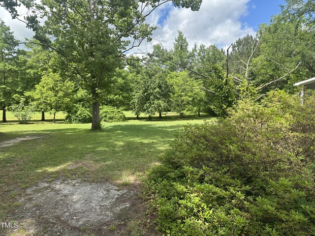 view of grassy yard