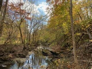 5900 Ebenezer Church Rd, Raleigh, NC 27612 - view of local wilderness