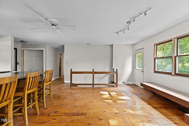 5900 Ebenezer Church Rd, Raleigh, NC 27612 - dining room featuring healthy amount of natural light, light wood-style floors, and ceiling fan