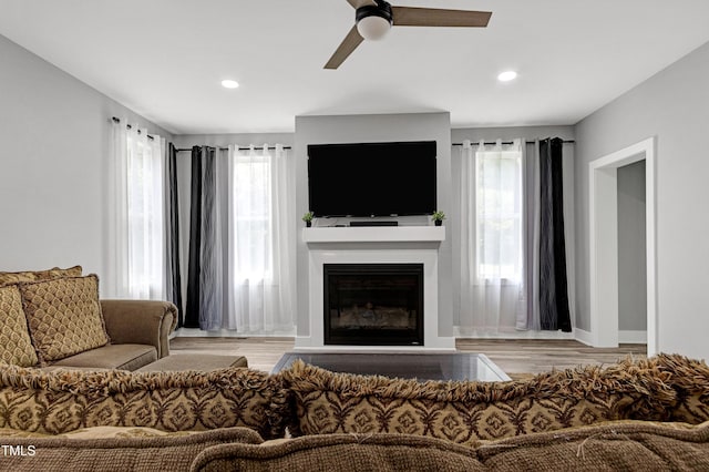 1003 E Sterlington Pl, Apex, NC 27502 - living area with healthy amount of natural light, a ceiling fan, wood finished floors, and recessed lighting