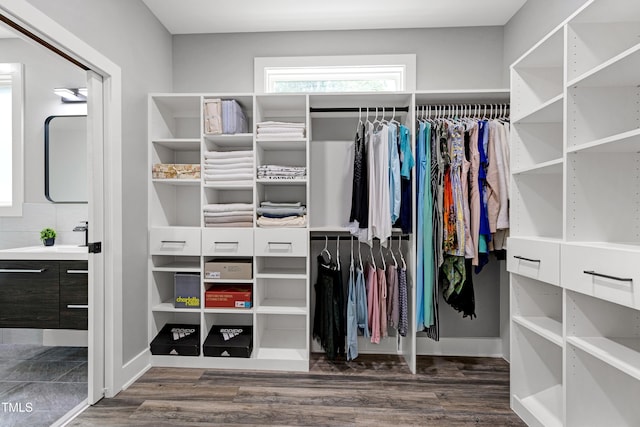 1003 E Sterlington Pl, Apex, NC 27502 - walk in closet featuring wood finished floors and a sink