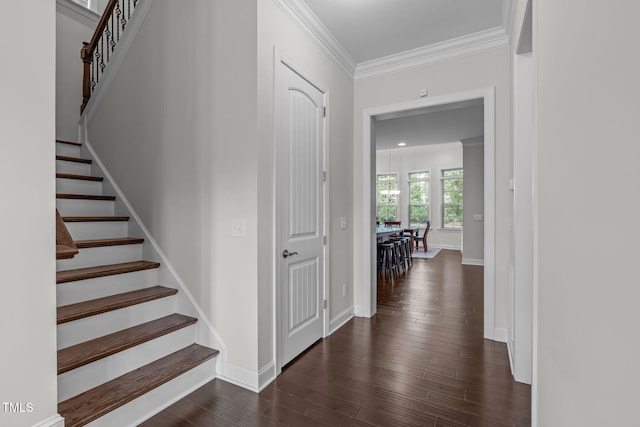308 Cypress Falls Dr, Cary, NC 27513 - photo 11