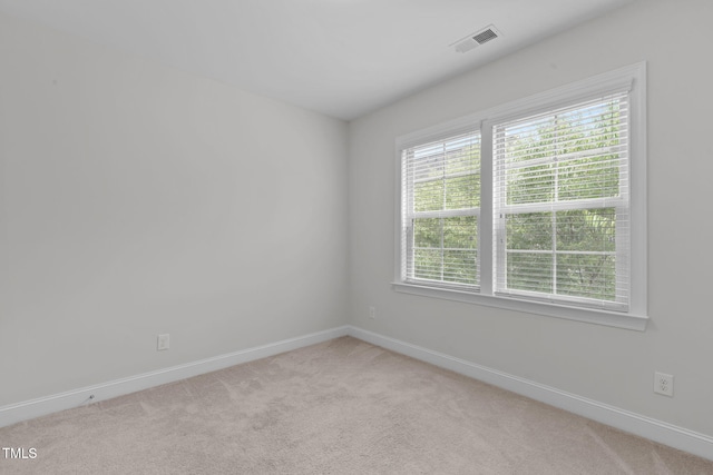 308 Cypress Falls Dr, Cary, NC 27513 - photo 51