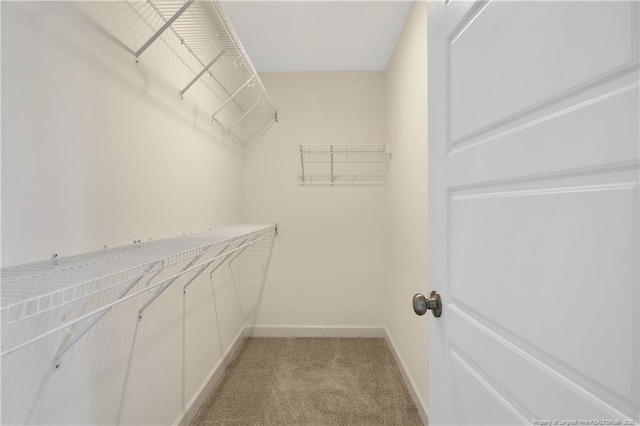 633 Amusement Dr, Hope Mills, NC 28348 - walk in closet featuring light colored carpet