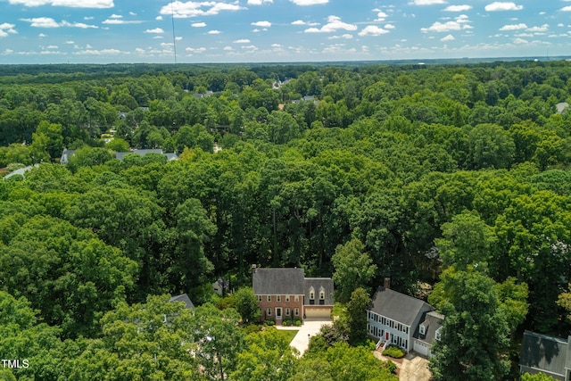 4009 New Yarmouth Way, Apex, NC 27502 - photo 49