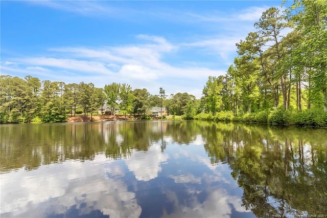 water view with a forest
