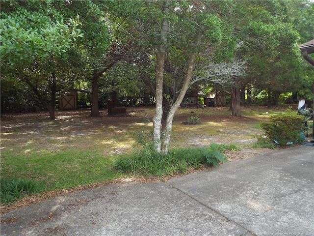 view of yard with a shed and an outbuilding