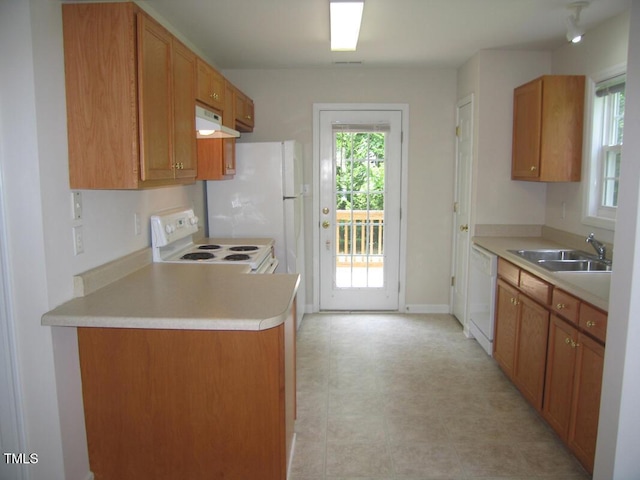 kitchen featuring white appliances, under cabinet range hood, a sink, light countertops, and brown cabinets