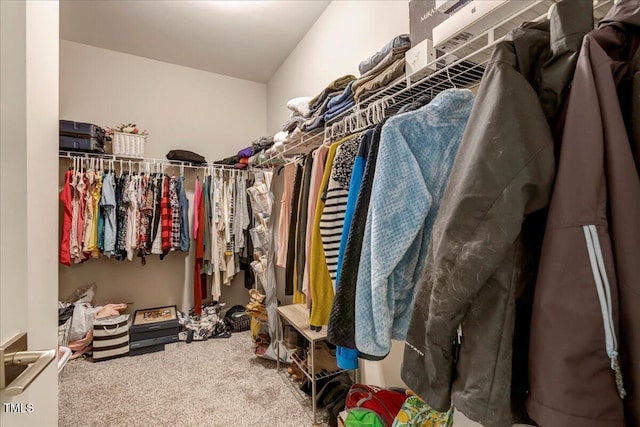 10304 Stallion Way, Bahama, NC 27503 - spacious closet with carpet