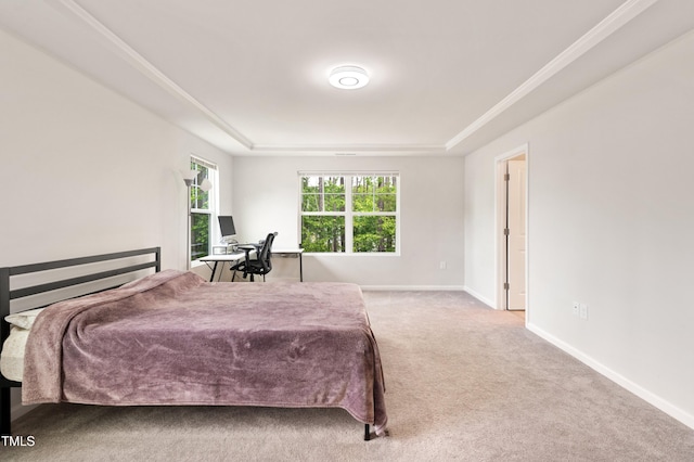 carpeted bedroom featuring a tray ceiling and baseboards