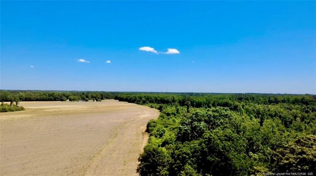 4075 Pleasant Hope Rd, Fairmont, NC 28340 - photo 3