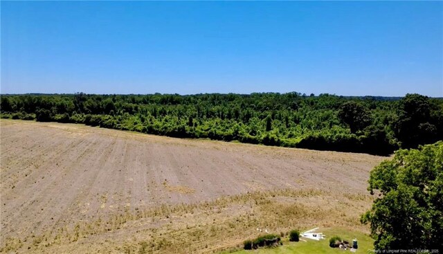 4075 Pleasant Hope Rd, Fairmont, NC 28340 - photo 4