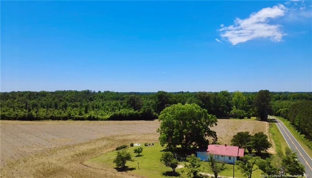 4075 Pleasant Hope Rd, Fairmont, NC 28340 - photo 5