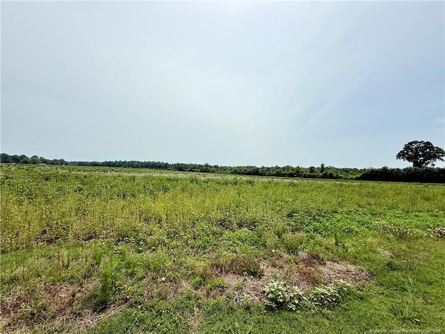 4075 Pleasant Hope Rd, Fairmont, NC 28340 - photo 12