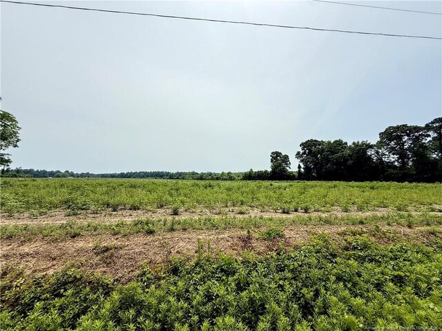 4075 Pleasant Hope Rd, Fairmont, NC 28340 - photo 13
