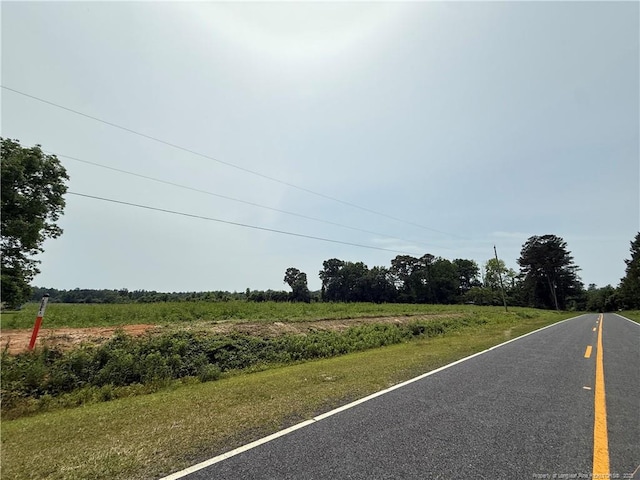4075 Pleasant Hope Rd, Fairmont, NC 28340 - photo 16