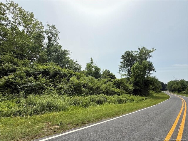 4075 Pleasant Hope Rd, Fairmont, NC 28340 - photo 17