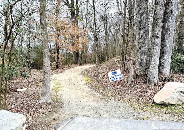 78 Falls Of The Cape Dr, Lillington, NC 27546 - photo 34