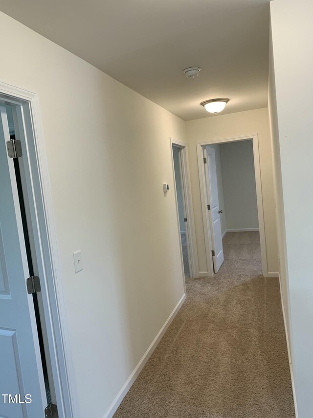1249 Turkey Trot Rd, Wendell, NC 27591 - photo 27