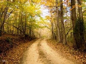 241 Serenity Hill Cir, Chapel Hill, NC 27516 - view of dirt / gravel road with a forest view