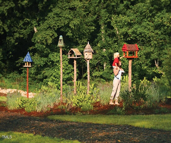 241 Serenity Hill Cir, Chapel Hill, NC 27516 - view of home's community