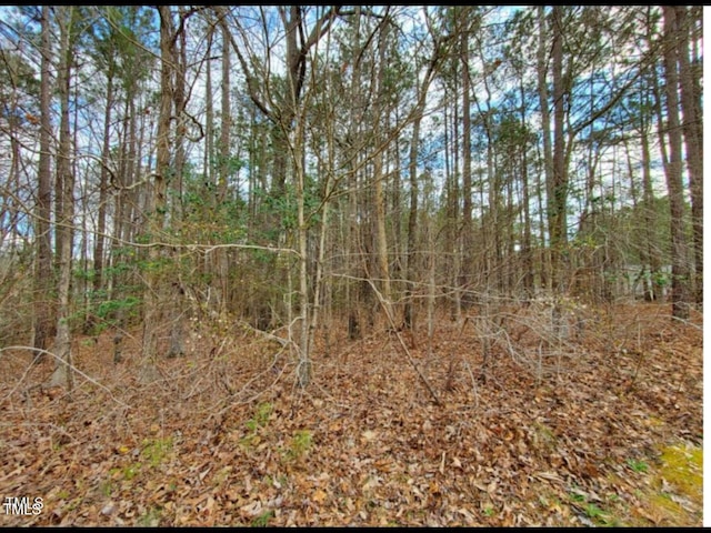 195 Owl Dr, Youngsville, NC 27596 - photo 2