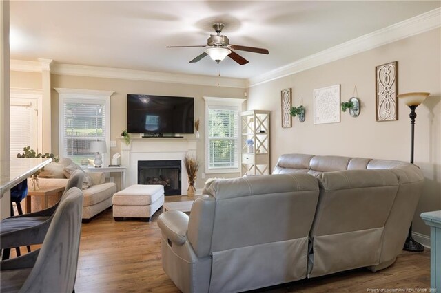 living area with a ceiling fan, crown molding, a fireplace, and wood finished floors