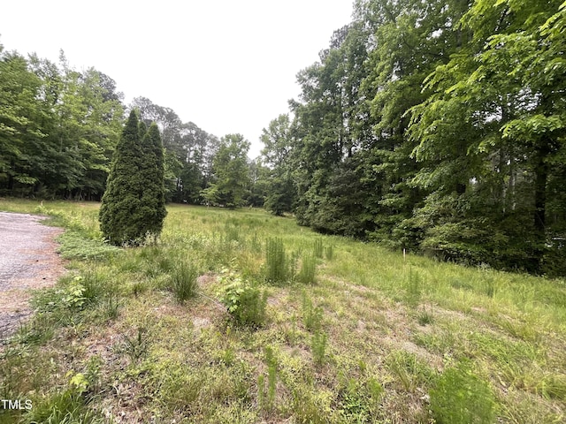view of tree filled area