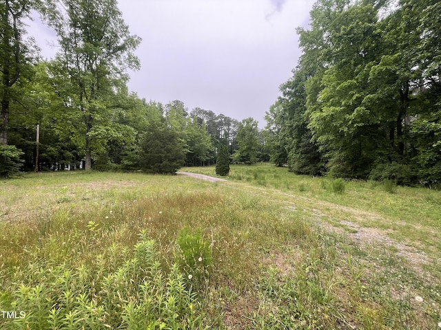view of tree filled area