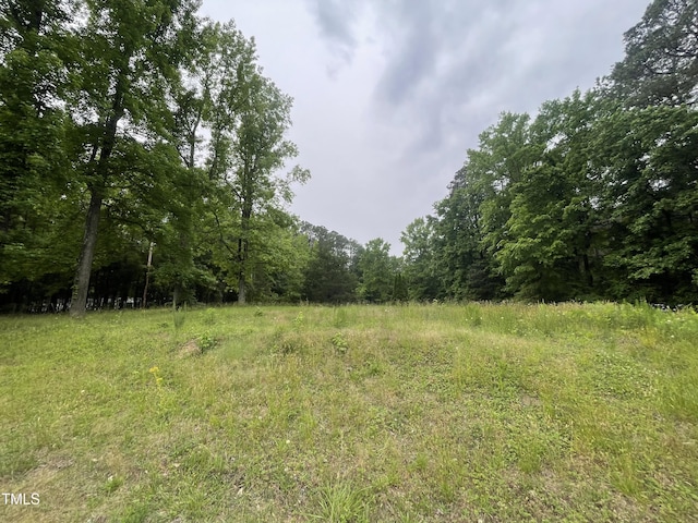 view of woods