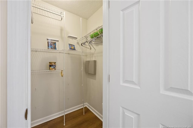 walk in closet with wood finished floors