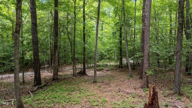 9 Buttonwood Ln, Roxboro, NC 27574