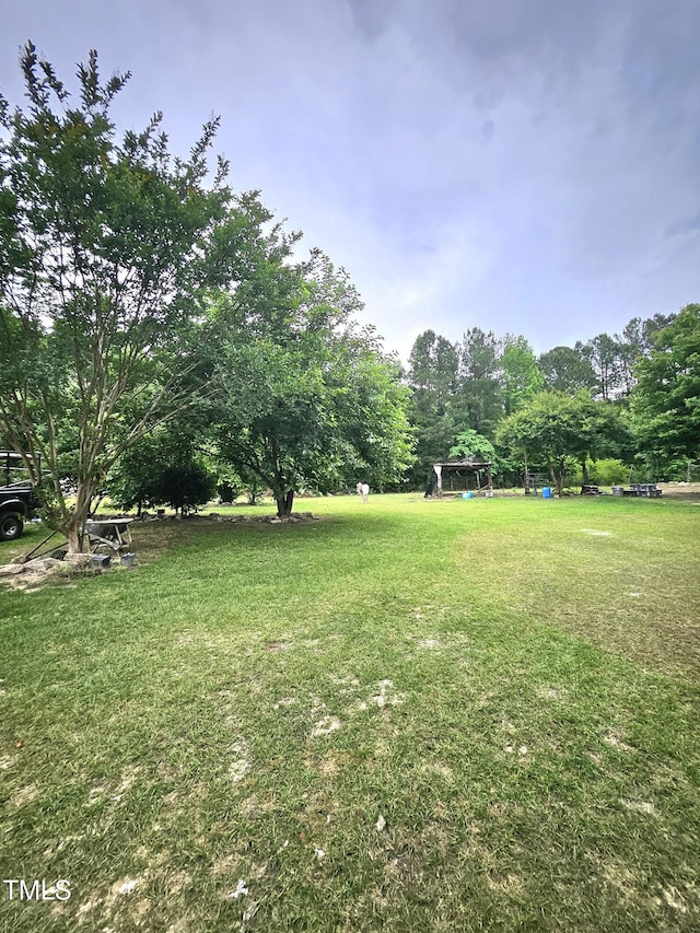 1360 Honeycutt Rd, Willow Springs, NC 27592 - view of grassy yard