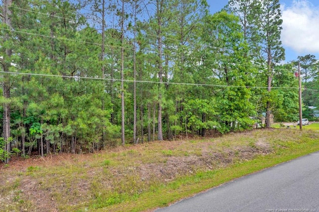 0 Mckay Dr N, Spring Lake, NC 28390