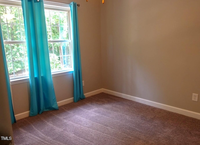 5917 Clearsprings Dr, Wake Forest, NC 27587 - carpeted empty room with plenty of natural light and baseboards