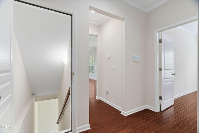 5028 Blue Jack Oak Dr, Cary, NC 27519 - photo 29