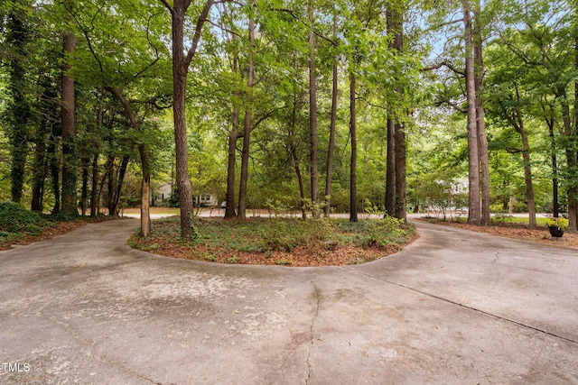 4004 Bamburgh Ln, Apex, NC 27539 - view of property's community with driveway