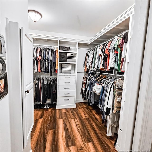 1303 Palestine Rd, Linden, NC 28356 - walk in closet with dark wood finished floors
