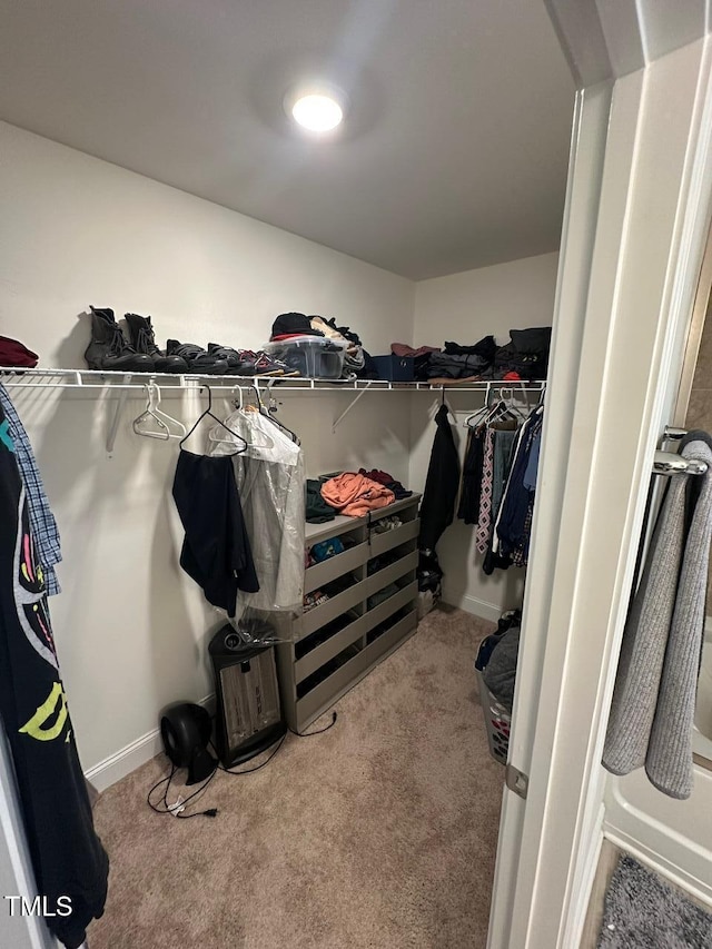 99 Still Hand Dr, Clayton, NC 27527 - walk in closet with carpet floors