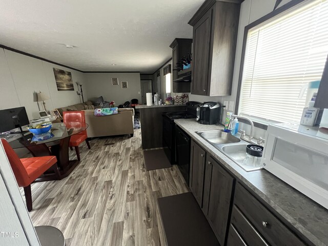 4360 W Hornes Church Rd, Bailey, NC 27807 - photo 4